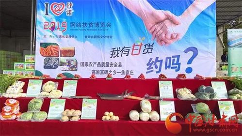 線上線下齊發(fā)力 真情助困解民憂 網(wǎng)絡(luò)達人直播助力銷售金昌優(yōu)質(zhì)農(nóng)產(chǎn)品
