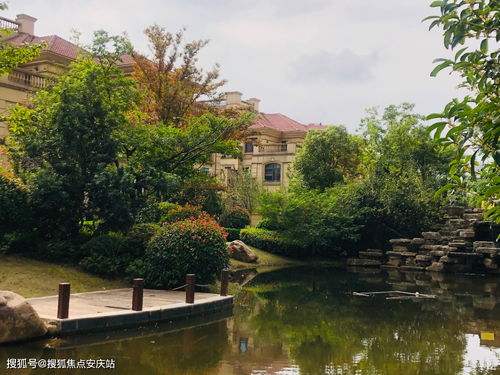 今日推薦 樓盤信息 房價 戶型 周邊配套,交通地圖及動態(tài)
