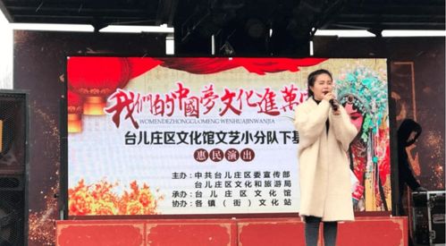 公共文化服務(wù)效能再提升 文化生活日益豐富中,臺兒莊區(qū)文化惠民在行動